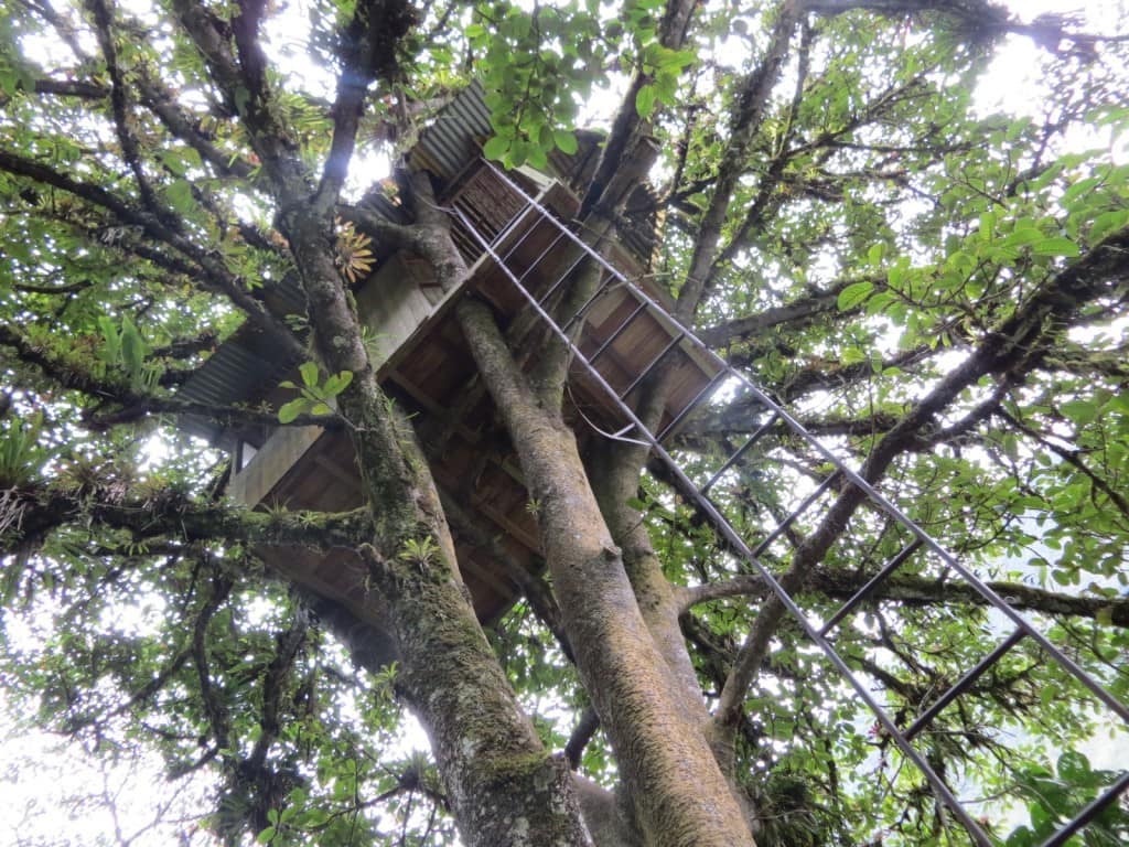 Treehouse at Toboganes Nahuazo