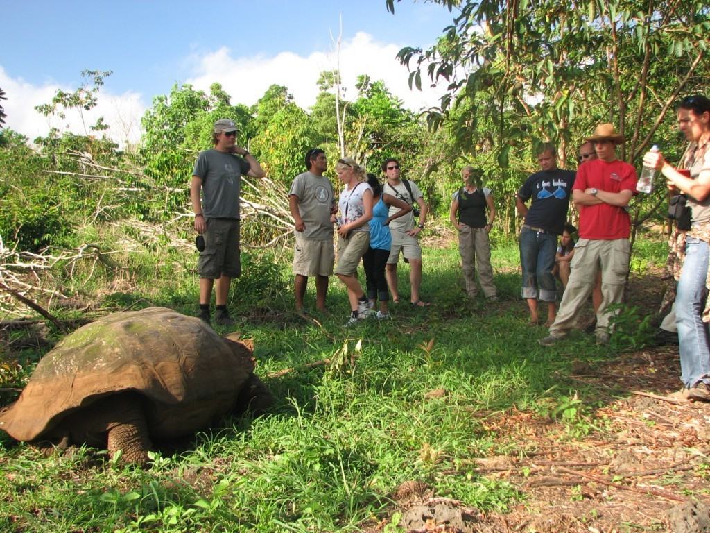 galapagos-tour-affordable-travel