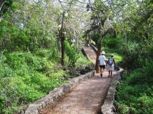 affordable-travel-galapagos