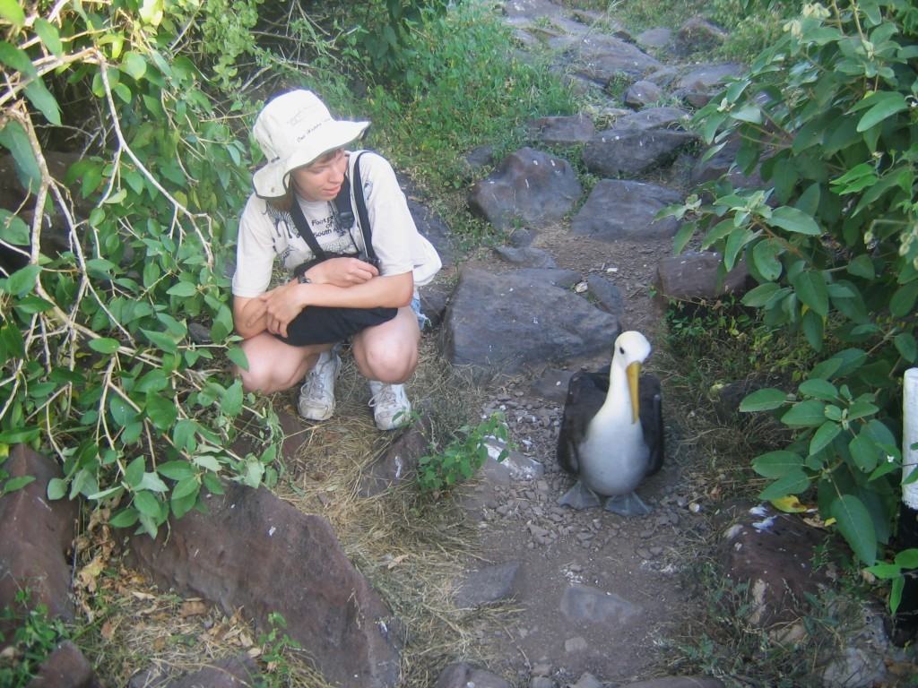 galapagos-travel-affordable